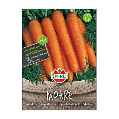 Gemüsesamen, Möhre 'Tozresis' Gemüsesamen, Möhre 'Tozresis'