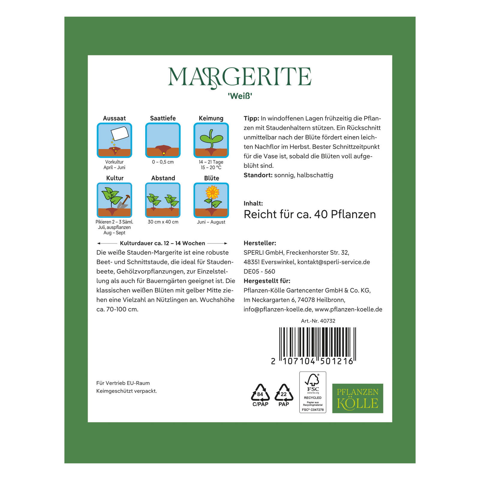 Kölles Beste Blumensamen, Margerite 'Weiß'