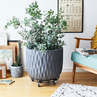 Multi Roller GH 0934, Tragkraft 100 kg, schwarz, ca. 10 x 38 x 38 cm Multi Roller GH 0934, Tragkraft 100 kg, schwarz, ca. 10 x 38 x 38 cm