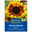 Blumensamen, Sonnenblume 'Ring of Fire', gelb & rot