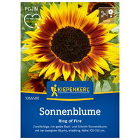 Blumensamen, Sonnenblume 'Ring of Fire', gelb & rot