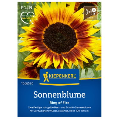 Blumensamen, Sonnenblume 'Ring of Fire', gelb & rot