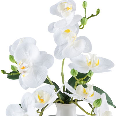 Kunstpflanze Phalaenopsis, weiß, Höhe ca. 42 cm Kunstpflanze Phalaenopsis, weiß, Höhe ca. 42 cm