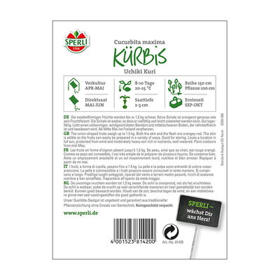 Gemüsesamen, Kürbis 'Uchiki Kuri'