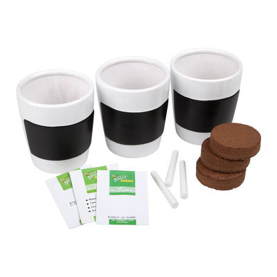 Buzzy Küchenkräuter-Pflanzset Buzzy Küchenkräuter-Pflanzset