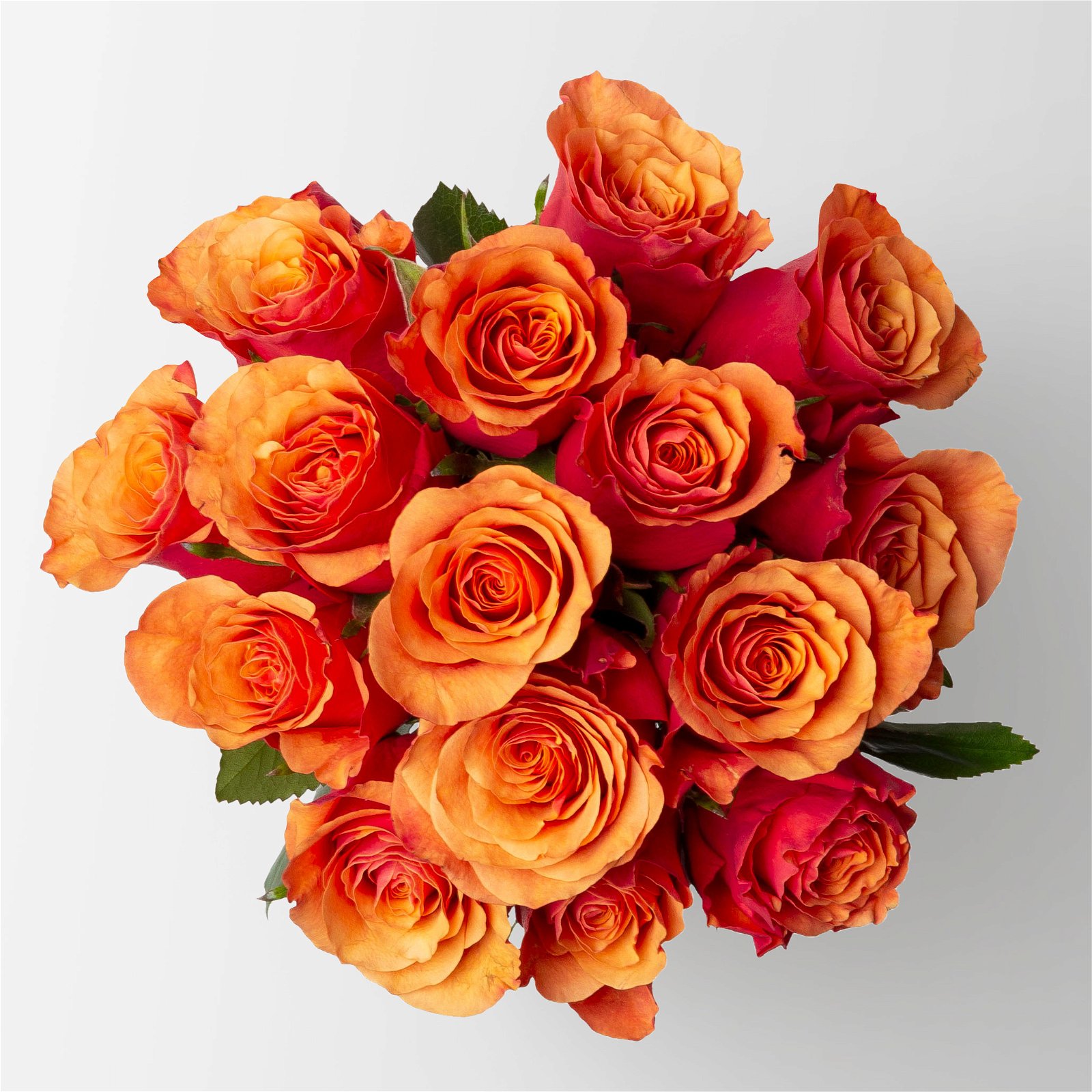 Blumenbund mit Rosen 'Espana, orange-rot, 15er-Bund, inkl. gratis Grußkarte