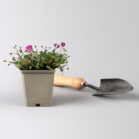 Bio Reiherschnabel 'Bishops Form' rosa, Topf 9x9 cm, 3 Pflanzen Bio Reiherschnabel 'Bishops Form' rosa, Topf 9x9 cm, 3 Pflanzen