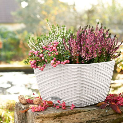 Lechuza 'Bacino Cottage', weiß, ca. 30 x 30 x H 18 cm