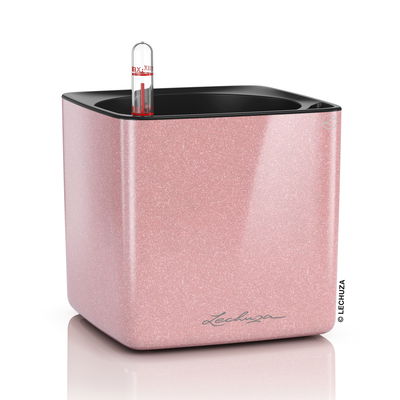 Lechuza 'Cube Glossy Kiss 14', Cashmere Cream Highgloss Glitter Lechuza 'Cube Glossy Kiss 14', Cashmere Cream Highgloss Glitter