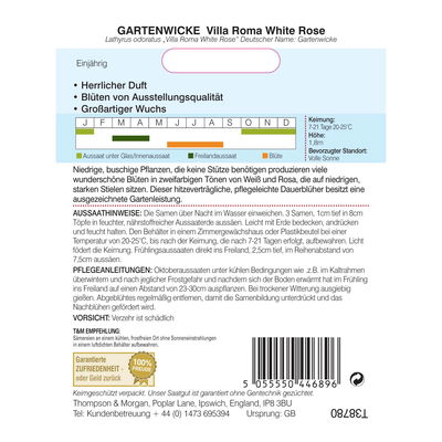 Thompson & Morgan Blumensamen Gartenwicke Villa roma White Rose