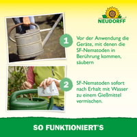 Neudorff Bestell-Set Nützlinge gegen Ameisen, 5 Mio Stück Neudorff Bestell-Set Nützlinge gegen Ameisen, 5 Mio Stück