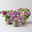 Sommerblumen-Mix, nach Verfügbarkeit, Topf-Ø 13 cm, 3 Pflanzen