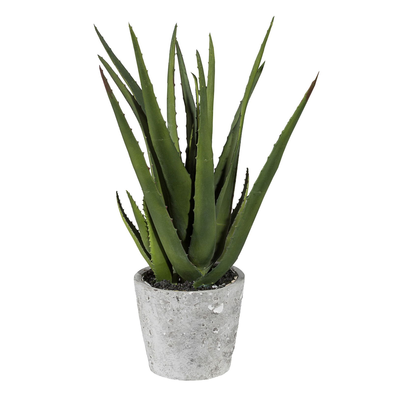 Kunstpflanze Aloe vera, Höhe ca. 40 cm