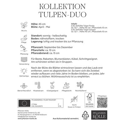 Gefüllte Tulpenmischung 'Duo' aus Finola & Antraciet, 10 Blumenzwiebeln Gefüllte Tulpenmischung 'Duo' aus Finola & Antraciet, 10 Blumenzwiebeln