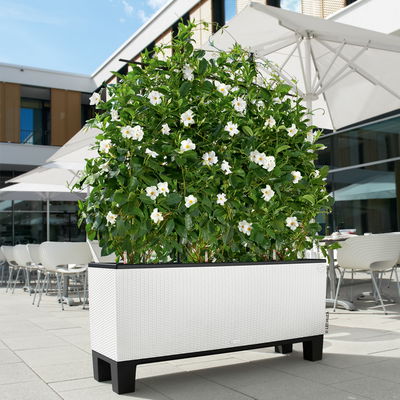 Lechuza 'Trio Cottage 30', weiß, ca. 100 x 32 x H 34 cm Lechuza 'Trio Cottage 30', weiß, ca. 100 x 32 x H 34 cm