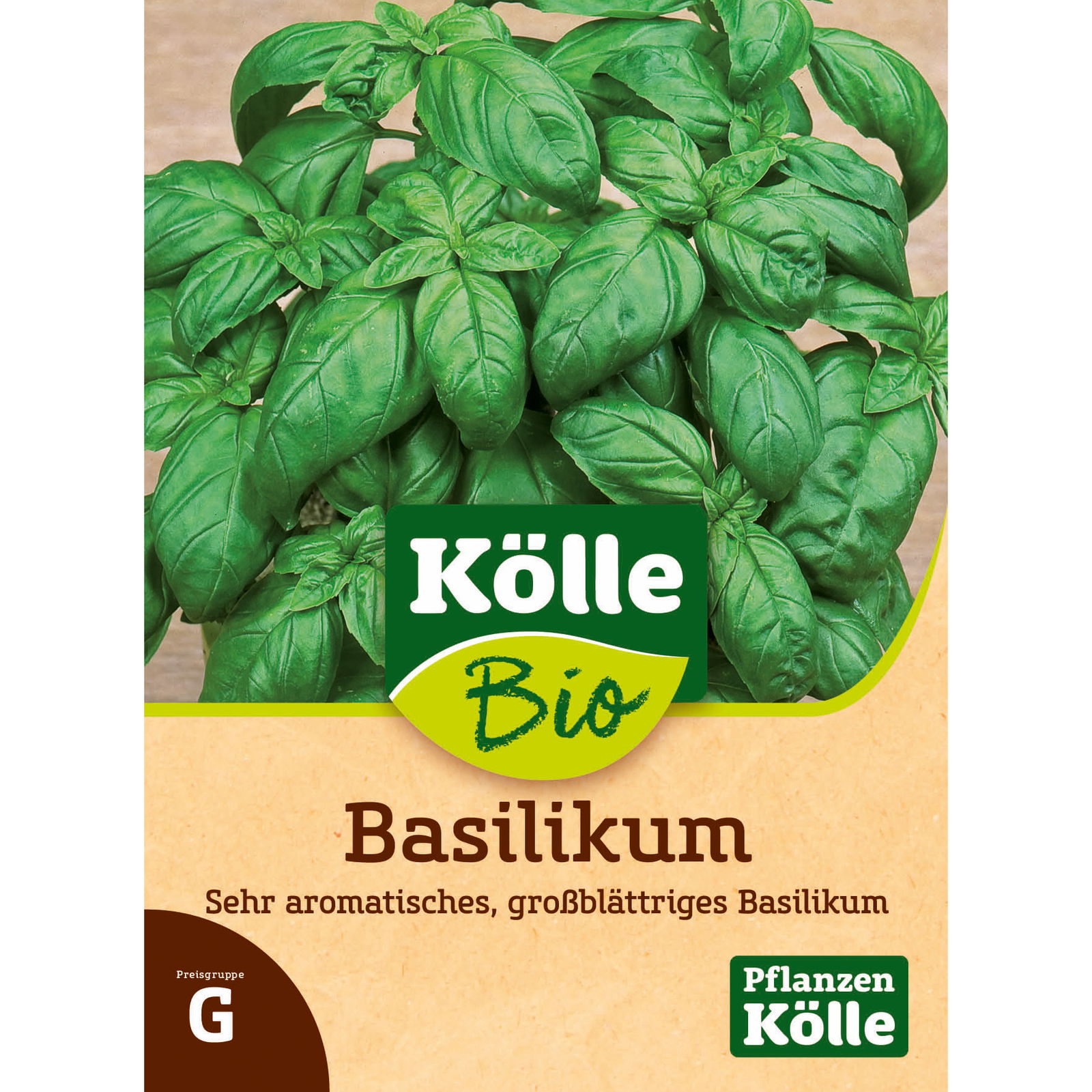 Bio Basilikum 'Genoveser'