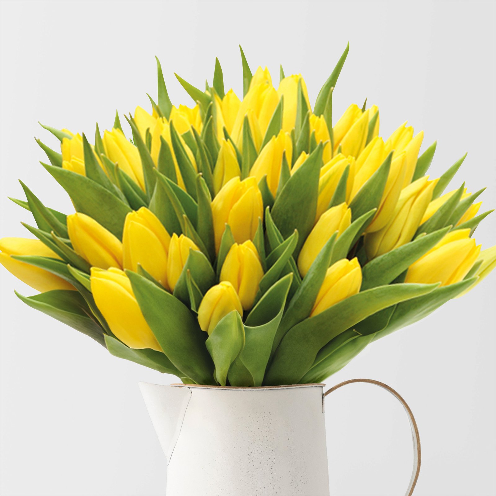 Blumenbund mit Tulpen, 50er-Bund, gelb, inkl. gratis Grußkarte