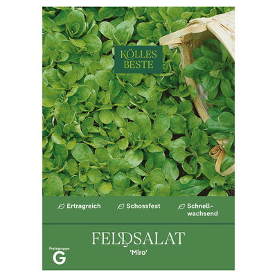 Kölles Beste Saatgut Feldsalat 'Miro', grün