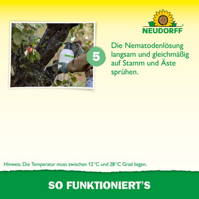 Neudorff Bestell-Set Nützlinge gegen Apfelwickler, 5 Mio Stück Neudorff Bestell-Set Nützlinge gegen Apfelwickler, 5 Mio Stück
