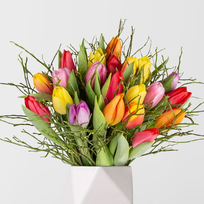 Bunter Schnittblumen-Mix aus 20 Tulpen & Heidelbeere Bunter Schnittblumen-Mix aus 20 Tulpen & Heidelbeere