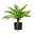 Kunstpflanze Daucus carota, 9 Wedel, Höhe ca. 45 cm