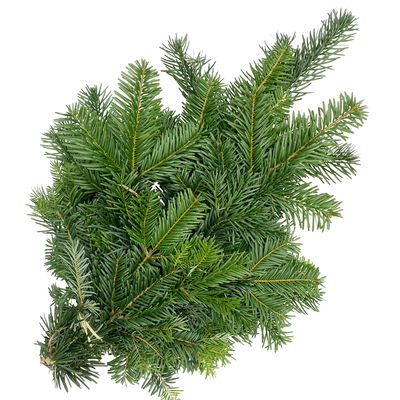 Nordmanntanne Tannenzweige Handbund 