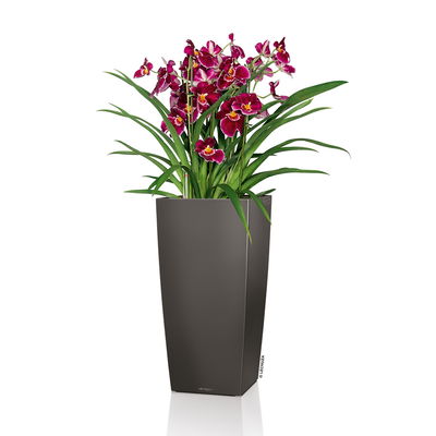 Lechuza 'Cubico Premium 40', anthrazit, ca. 40 x 40 x H 75 cm Lechuza 'Cubico Premium 40', anthrazit, ca. 40 x 40 x H 75 cm