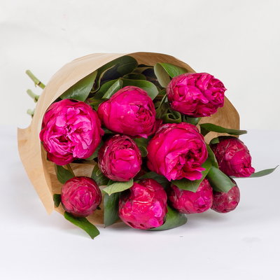 10 rote Pfingstrosen