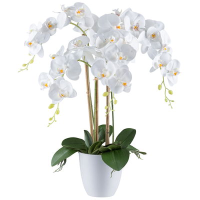 Kunstpflanze Phalaenopsis, weiß, Höhe ca. 62 cm Kunstpflanze Phalaenopsis, weiß, Höhe ca. 62 cm