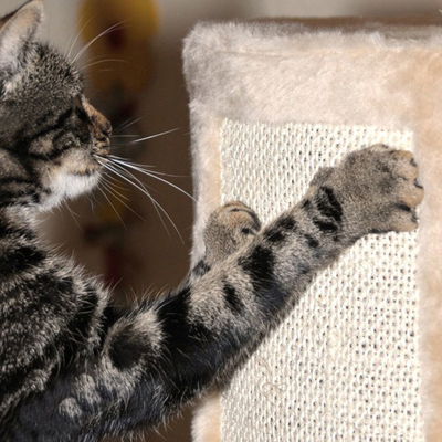 Silvio Design Katzen-Kratzbaum Kitty beige, ca. 45x45x260  cm