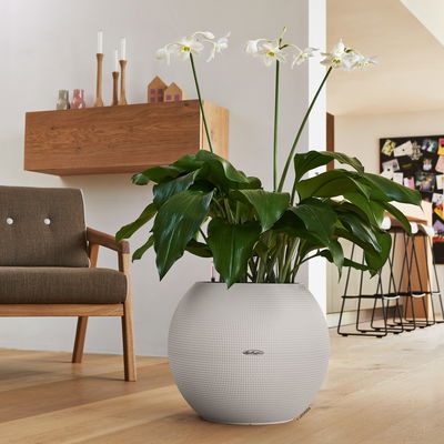 Lechuza 'Puro Color 50', sandbraun, ca. Ø 50 x H 39 cm