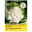 Thompson & Morgan Saatgut Blumenkohl Cartesio Thompson & Morgan Saatgut Blumenkohl Cartesio