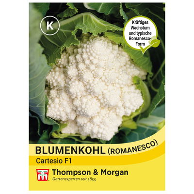 Thompson & Morgan Saatgut Blumenkohl Cartesio Thompson & Morgan Saatgut Blumenkohl Cartesio