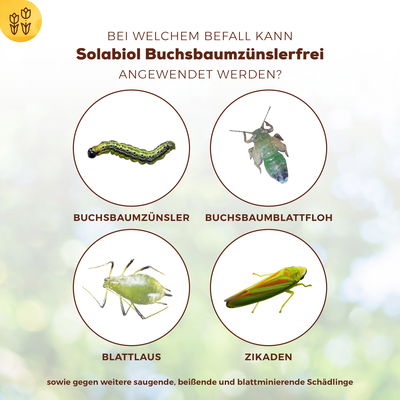 Buchsbaumzünsler-Schutz, 50 ml Buchsbaumzünsler-Schutz, 50 ml