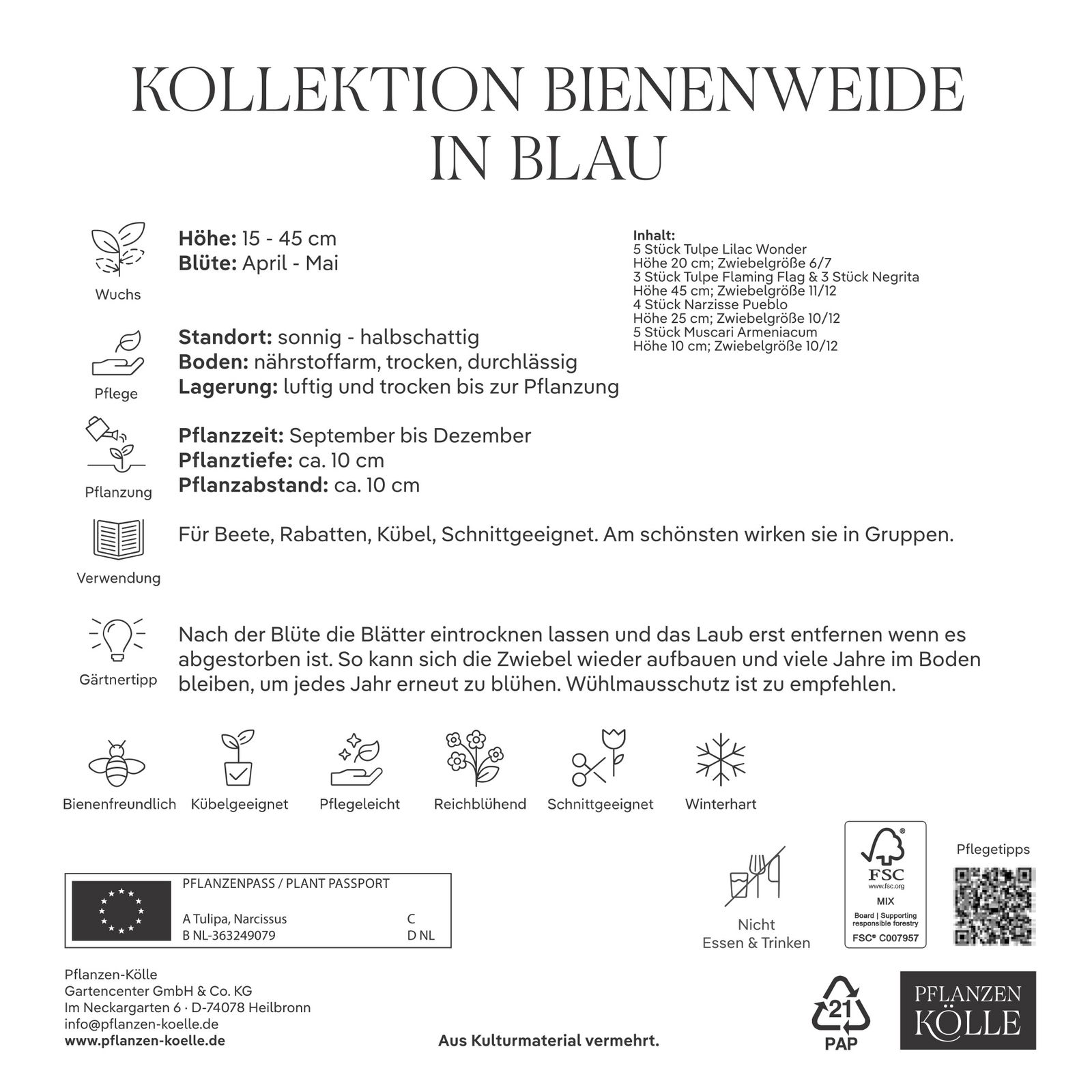 Blumenmischung 'Bienenweide Mischung', blau, 20 Zwiebeln