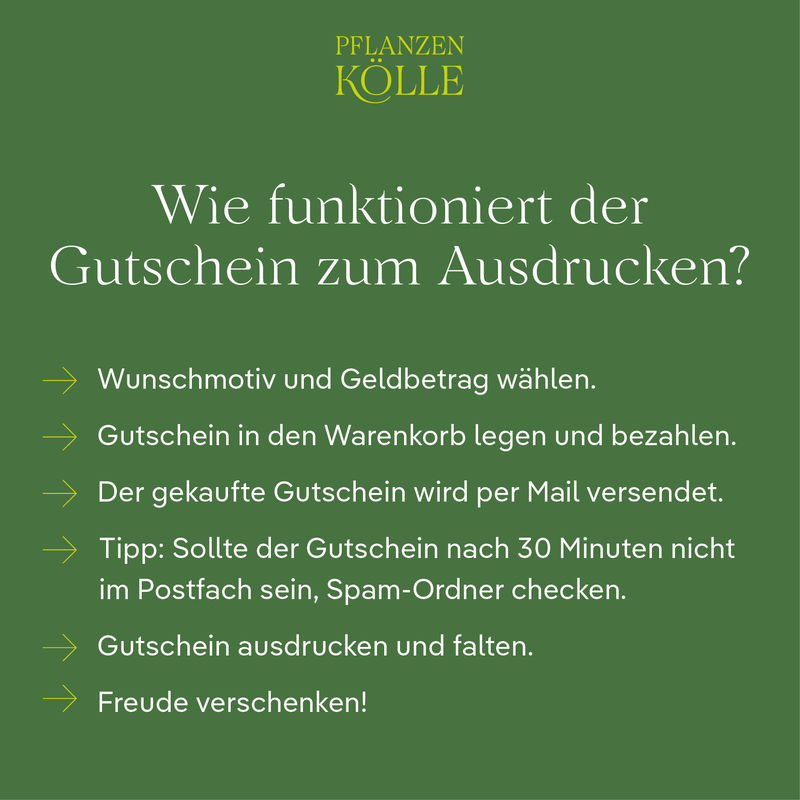 Geschenkgutschein von Pflanzen-Kölle ganz einfach online kaufen