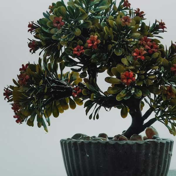 Kunstblumen & Kunstpflanzen online kaufen bei Pflanzen-Kölle