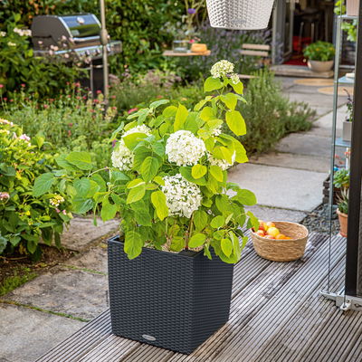 Lechuza 'Cube Cottage 30', granit, ca. 29,5 x 29,5 x H 30 cm