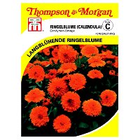 Thompson & Morgan Ringelblume 'Candyman Orange'