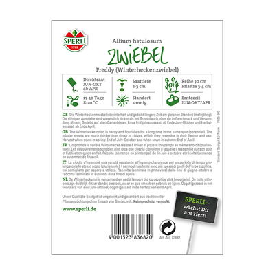 Gemüsesamen, Zwiebeln 'Winterhecke Freddy' Gemüsesamen, Zwiebeln 'Winterhecke Freddy'