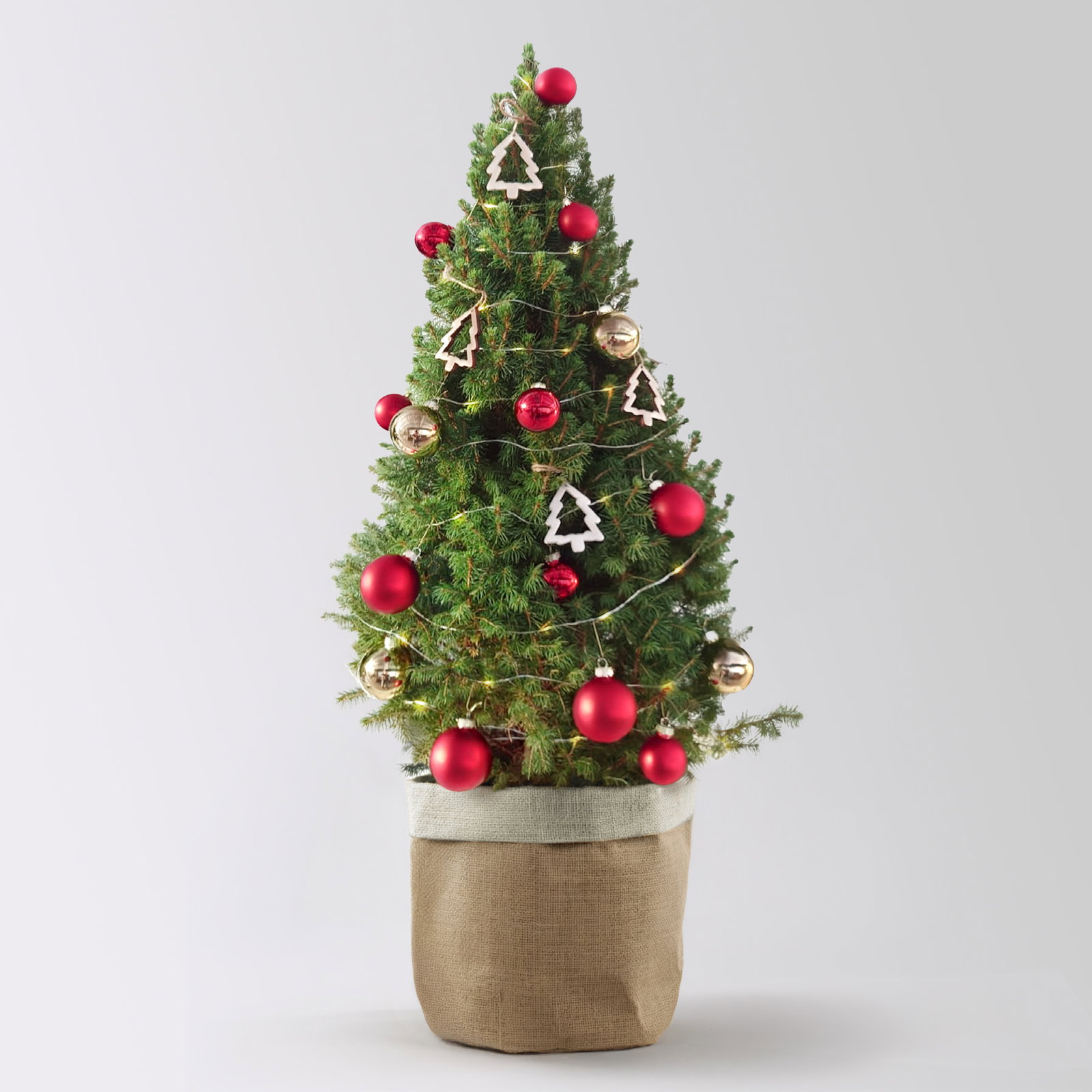Weihnachtsbäumchen inkl. Deko, rot-gold, Höhe ca. 80 cm, Topf-Ø 25 cm