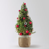 Weihnachtsbäumchen inkl. Deko, rot-gold, Höhe ca. 80 cm, Topf-Ø 25 cm Weihnachtsbäumchen inkl. Deko, rot-gold, Höhe ca. 80 cm, Topf-Ø 25 cm