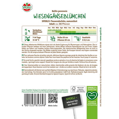Sperli Saatgut Wiesengänseblümchen 'Tausendschön', weiß