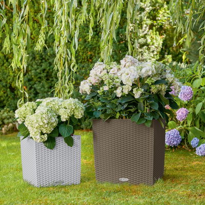 Lechuza 'Cube Cottage 30', lichtgrau, ca. 29,5 x 29,5 x H 30 cm Lechuza 'Cube Cottage 30', lichtgrau, ca. 29,5 x 29,5 x H 30 cm