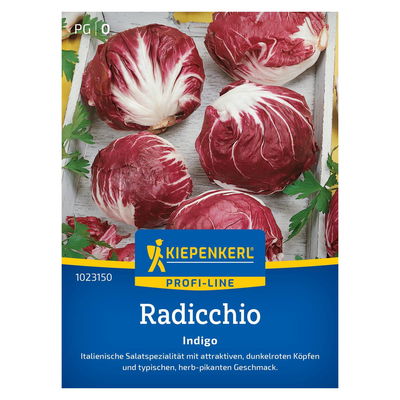 Gemüsesamen, Radicchio 'Indigo', rot Gemüsesamen, Radicchio 'Indigo', rot