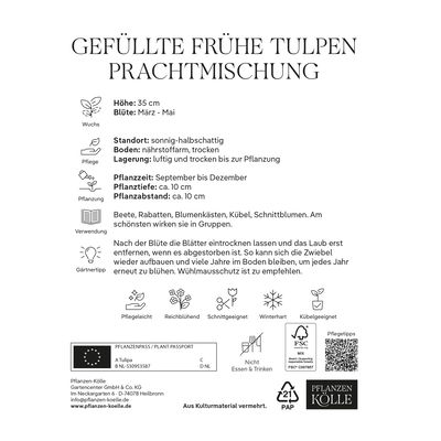 Gefüllte frühe Tulpen Prachtmischung, 7 Blumenzwiebeln