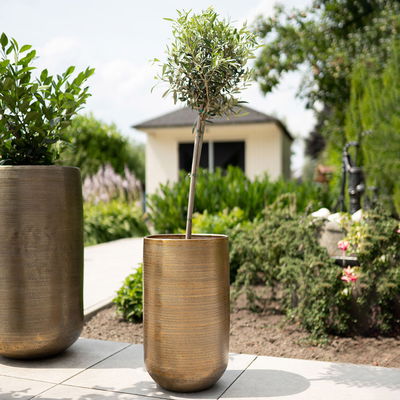Kölle Pflanzgefäß 'Rowen', gold, ca. Ø 47 x H 82 cm