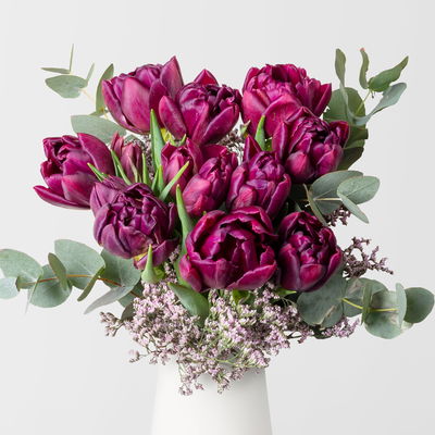 Tulpen Schnittblumen-Mix, lila Tulpen Schnittblumen-Mix, lila