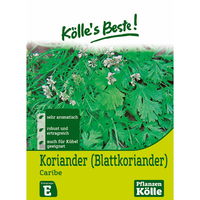 Kölle's Beste Kräutersamen Koriander Caribe