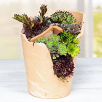 Gartenschule Kreativ 